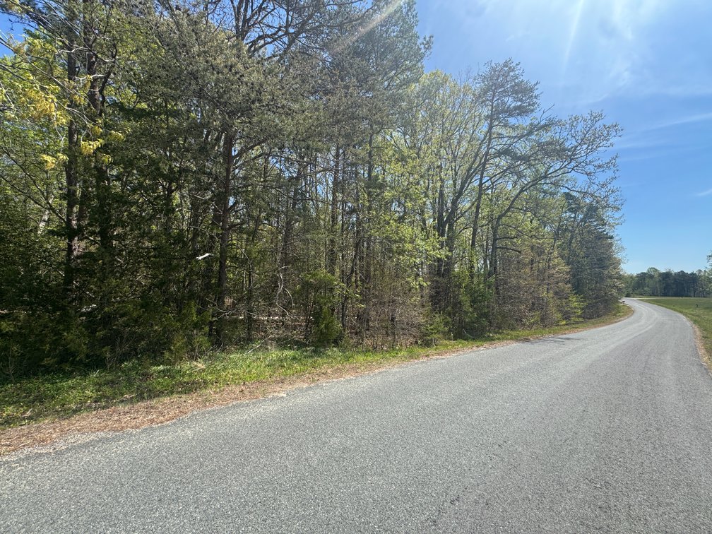 Steve Veselosky, on Johnny Hall Rd, 1 AC +/-, Mineral Magisterial Dist. Tax Map ID 43-45