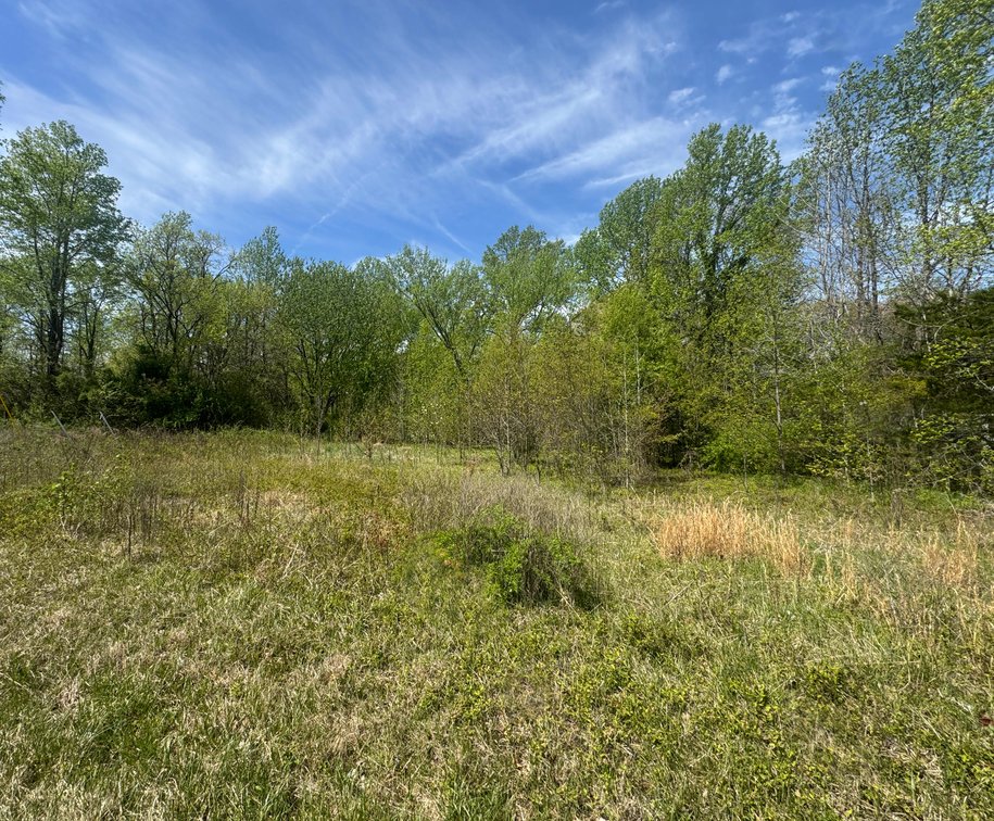 Jeane A. Roberts aka Jeanne A. Roberts, 2089 Zachary Taylor Hwy, 0.919 AC +/-, Western side of US Route No. 522, Mineral Magisterial Dist. Tax Map ID  43-39