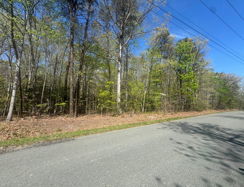 Bessie G. Moody & Norma G. Moody, on Centerville Rd., 9.5 AC +/-, Cuckoo Magisterial Dist., Tax Map ID 30-12