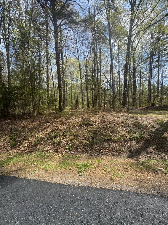 Sarah Jones Brown, on Peach Grove Rd., 4.1298 AC +/-, Louisa Magisterial Dist., Tax Map ID 14-49