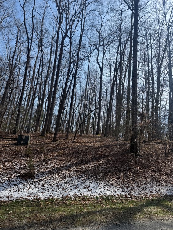 Herman H. Schutt III, Aylett District; 403 Walnut Ln; Unimproved lot; Lot 18 Blk A Section 2 Black Walnut Estates; unk acreage, Tax Map ID 22-C-2-A-18