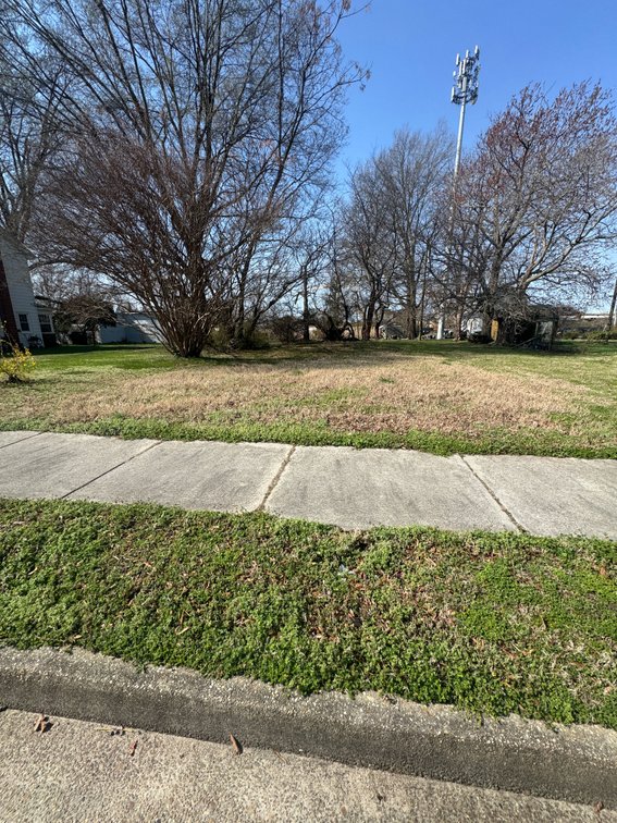 Lucille S Young & Laura Smith, West Point; Kirby St; Unimproved lot; C St Lot 868A North Half Of Old Lot 868; unk acreage, Tax Map ID 69-A1-62- 868A
