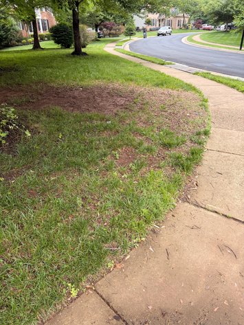 Image for Fairfax County Tax Delinquent Sale