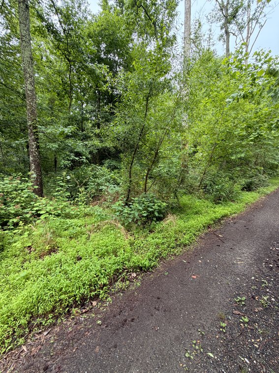 Electra Butcher, Barberry Trail, Lorton; Vacant Land; Gunston Manor; Lots 14, 16, 17 and 18; Block 59; Section B; 8,000 Square Feet, More or Less, Tax Map No. 1193-02590014