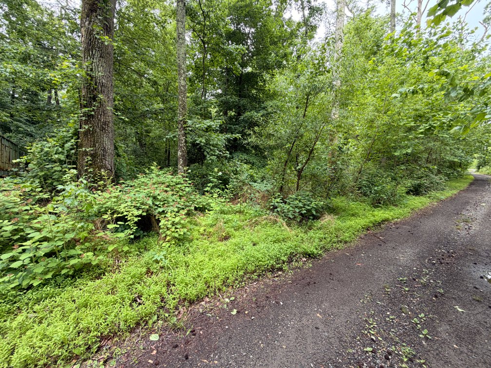 Electra Butcher, Barberry Trail, Lorton; Vacant Land; Gunston Manor; Lots 20 and 22; Block 59; Section B; 4,000 Square Feet, More or Less, Tax Map No. 1193-02590020