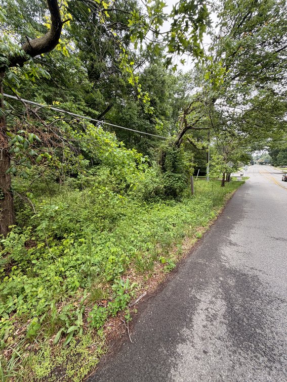 Parcel 5, LTD, Landamerica Property Corporation, Inc., Silver Lake, Inc., Albert Land Trust Lena A. Fleek, Trustee, Albert Land Trust Lena A. Fleek, Trustee, 5 Parcels Sold Together, Tax Map IDs:  0472-39-A1, 0913-01-0091A, 0913-01-0091B, 0391-01-0012 & 0