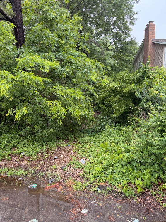 Harold P. Seamon, et al. Eloise S. Seamon, Popkins Lane, Alexandria; Vacant Land; Thomas J. Rice Property; Outlot A; 15,307 Square Feet, More or Less, Tax Map No. 0931-01-0011A