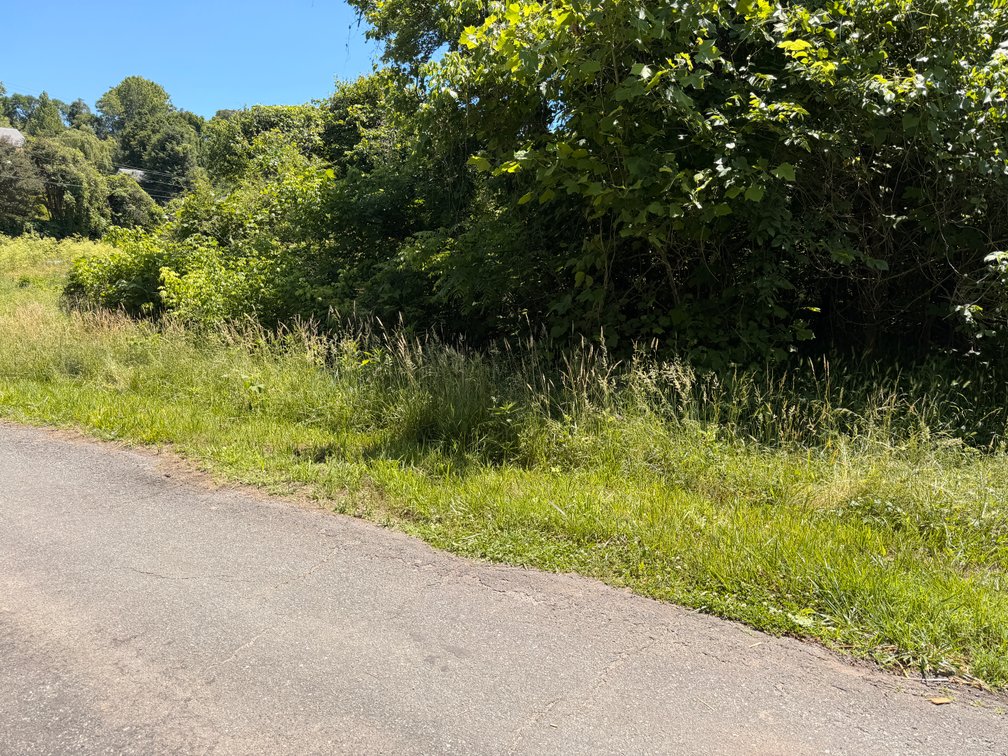 Matthew D. Brock, Vacant; Bremo Bluff Road, Bremo Bluff 23022, Tax Map ID 58-A-28