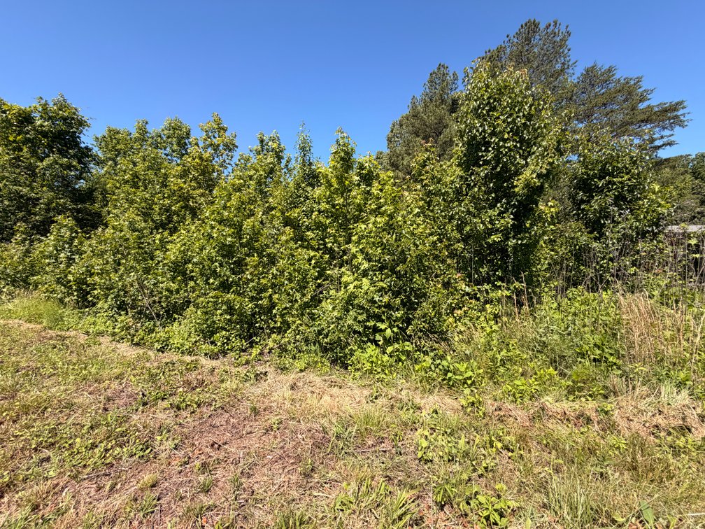 Charles T. Colbert, Vacant; James Madison Highway, Bremo Bluff 23022, Tax Map ID 51-11-2