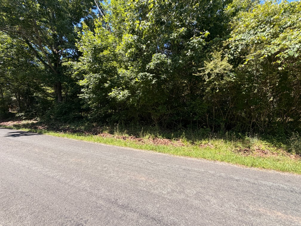Avis and Madeline Palmer, c/o Brad Palmer, 317 Spring Road, Bremo Bluff 23022, Tax Map ID 59-A-34