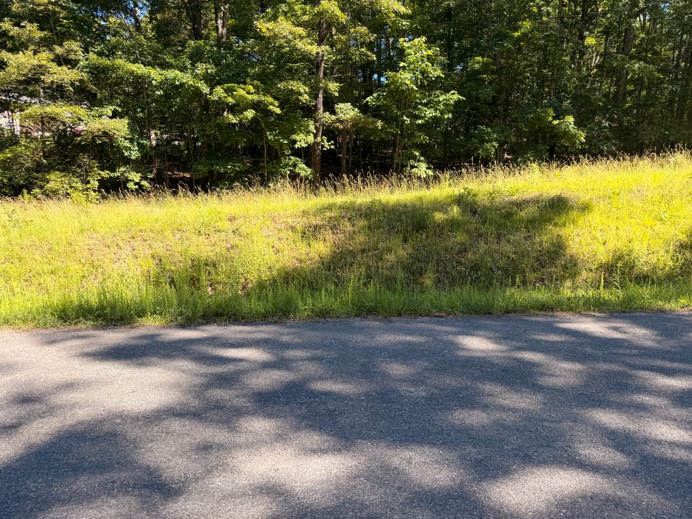 John for Johnson Bowles, Vacant; Oak Creek Road and Swangin Lane, Palmyra 22963, Tax Map ID 31-A-38