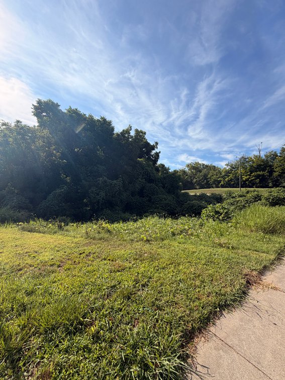 Image for Prince Edward County Tax Delinquent Sale