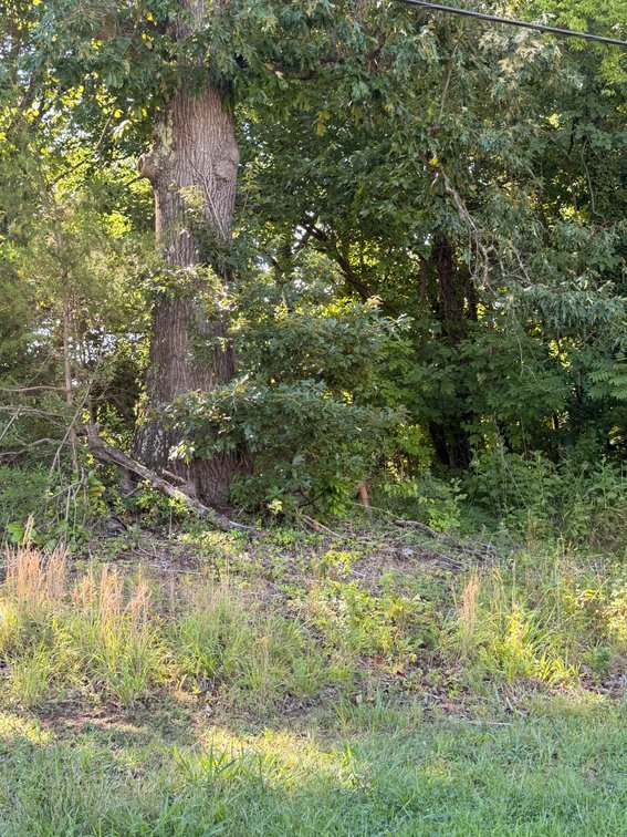 Anna Womack Duck, Town of Farmville, Tax Map ID 023A8-A-22