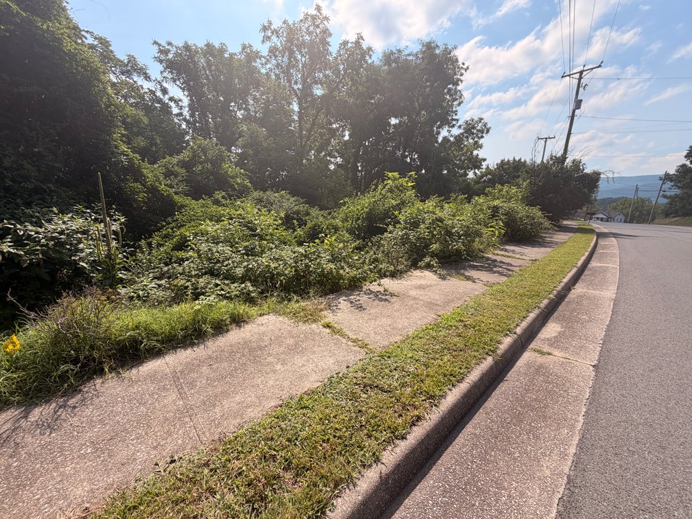 Orleana & William Redd, 2 lots on  Randolph Ave.  Next to 1640 Randolph Ave., Tax Map ID 063-025-0000-0006, 063-025-0000-0007