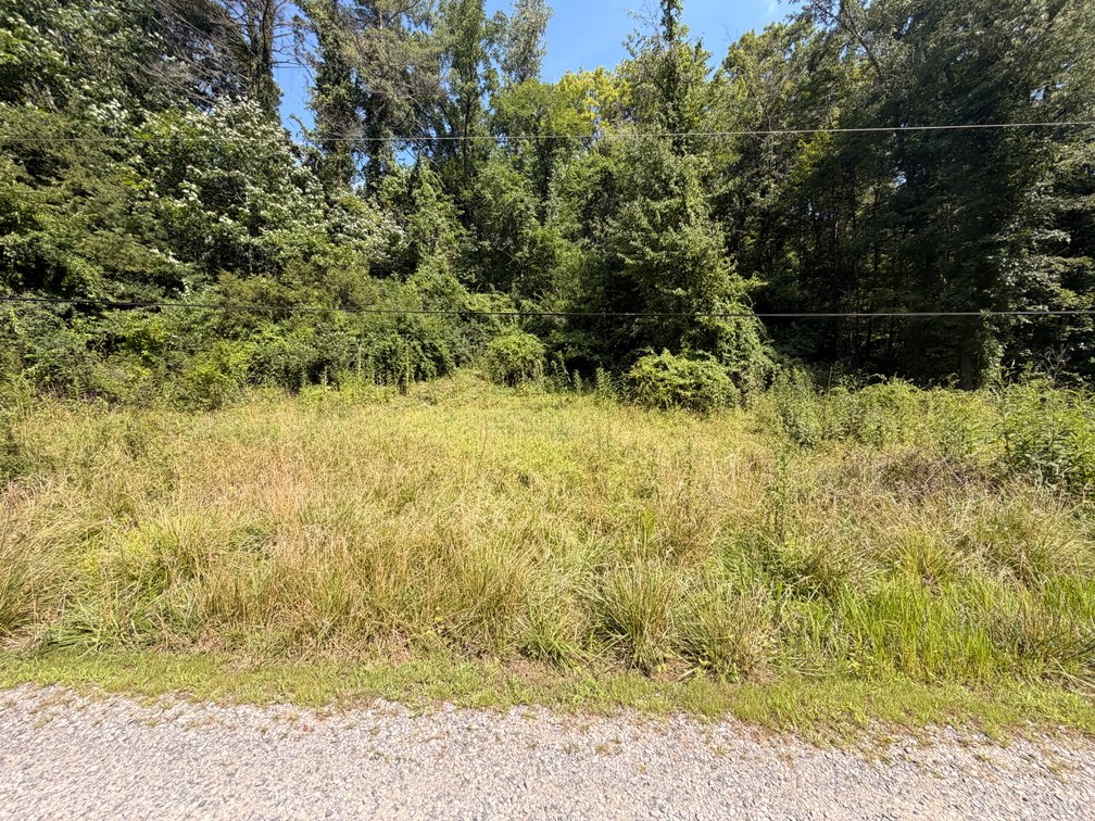 Raymond Lottier, 5 lots on Lottier Street, Tax Map ID 071-017-0000-0020, 071-017-0000-0021, 071-017-0000-0022, 071-017-0000-0022A, 071-017-0000-0023