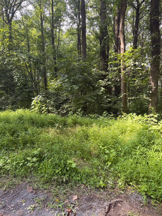 Image for Warren County Tax Delinquent Sale