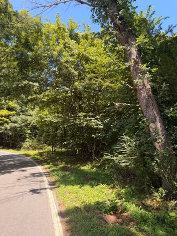 Image for Carroll County Tax Delinquent Sale