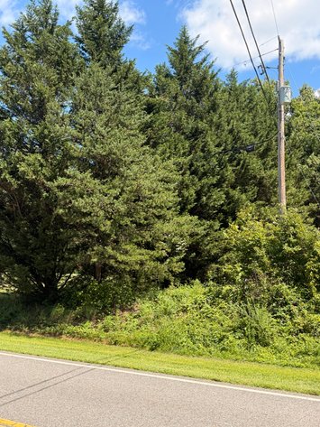 Image for Carroll County Tax Delinquent Sale