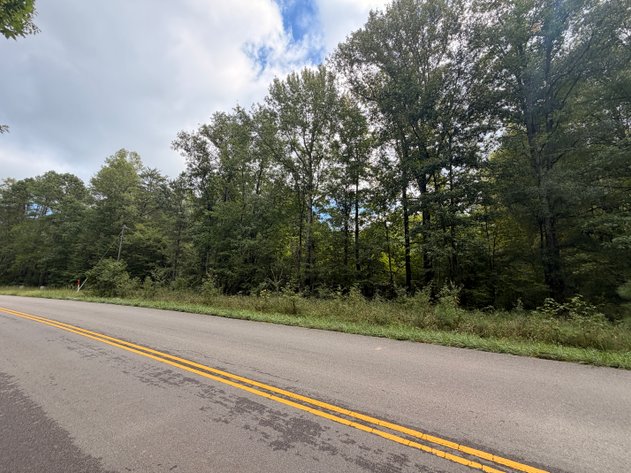 Image for Caroline County Tax Delinquent Sale