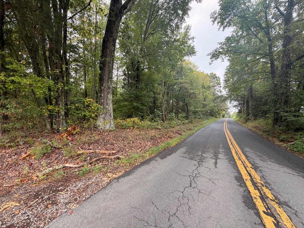 Washington, 11 acres, more or less, south side of Mattaponi Trail, Tax Map 87-A-20