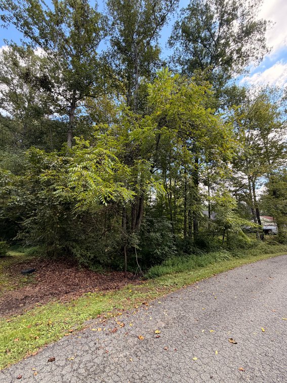 Henrickson, Lot 474, on North Anna Drive, Tax Map 93A3-1-474