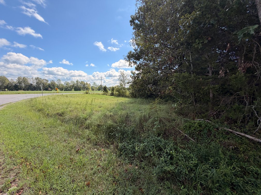 Johnson, 0.25 acres, more or less, intersection of Ruther Glen Road and Signboard Road; Tax Map 94-4-4