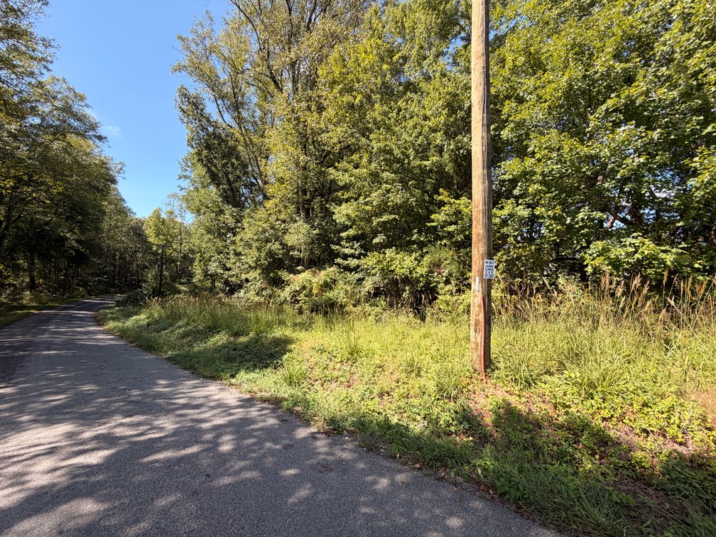 Woolfolk, 0.3 acres, more or less, north side of Burruss Lane; Tax Map 94-A-31