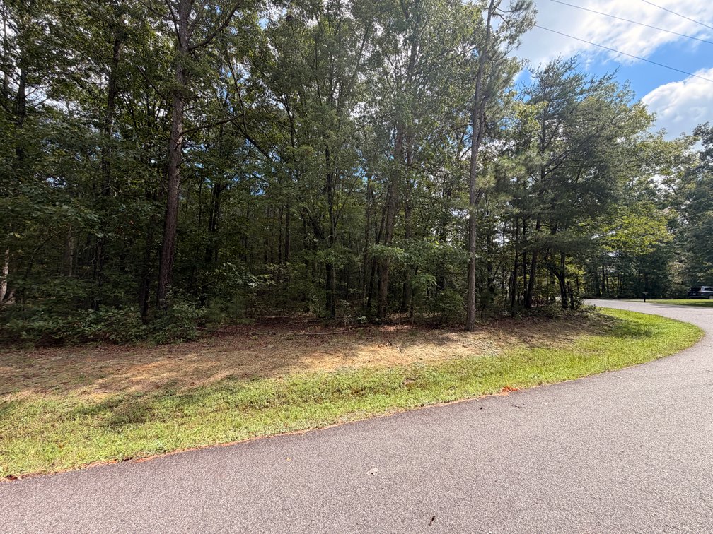 Krida, Lot 1573, 190 American Drive; Tax Map 67A4-1-1573