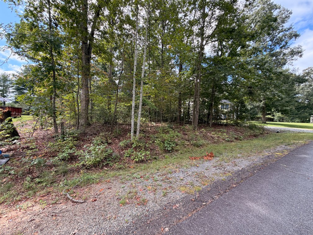 Old Dominion, Lot 1610, 189 American Drive; Tax Map 67A4-1-1610