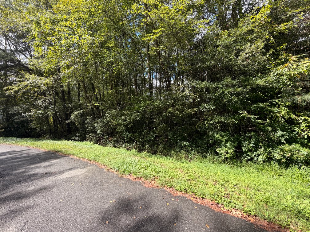 Siegel, Lot 260, 101 Delaware Drive; Tax Map 67A3-1-260