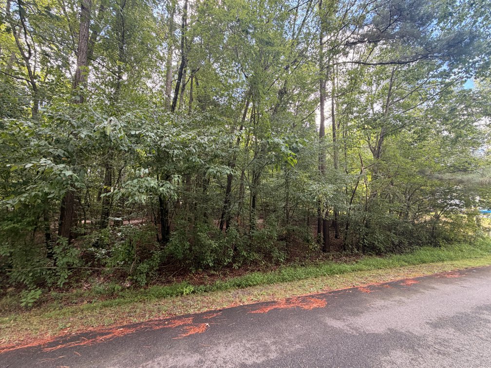 Mountain, Lot 402, on Hessian Drive; Tax Map 67A2-1-402