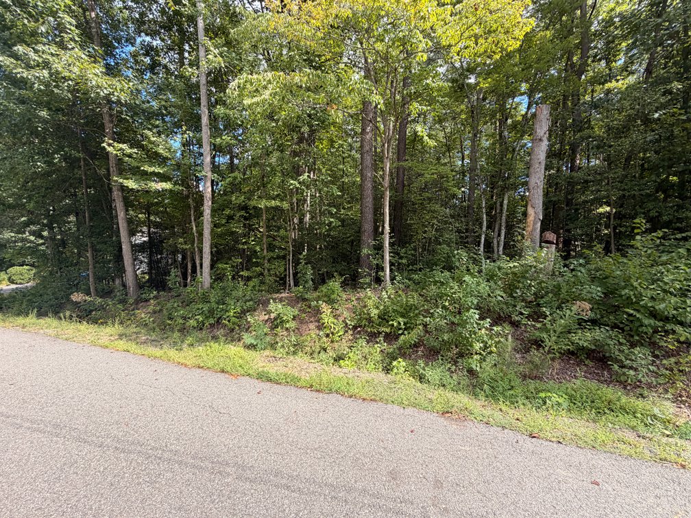 Old Dominion, Lot 1053, 162 John Paul Jones Drive, Lot 1054, 164 John Paul Jones Drive, and Lot 1055, 166 John Paul Jones Drive; Tax Map 67A1-1-1053,  67A1-1-1054 and 67A1-1-1055