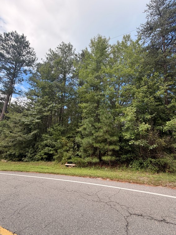 Miles, Lot 171, 223 Lexington Drive; Tax Map 67A3-1-171