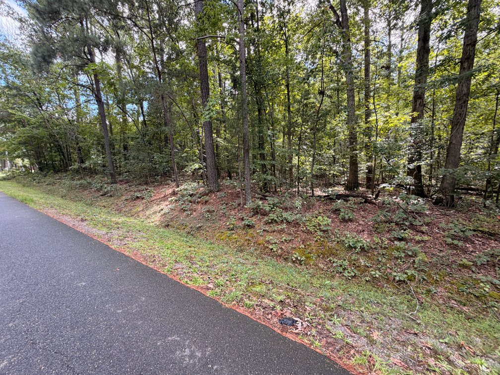 Jones, Lot 1775, 333 Senate Drive; Tax Map 67A5-1-1775