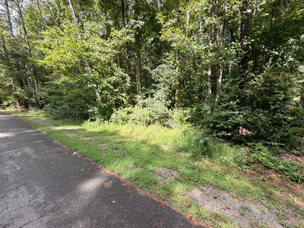 Area, Lot 919, 127 Waring Drive; Tax Map 67A1-1-919
