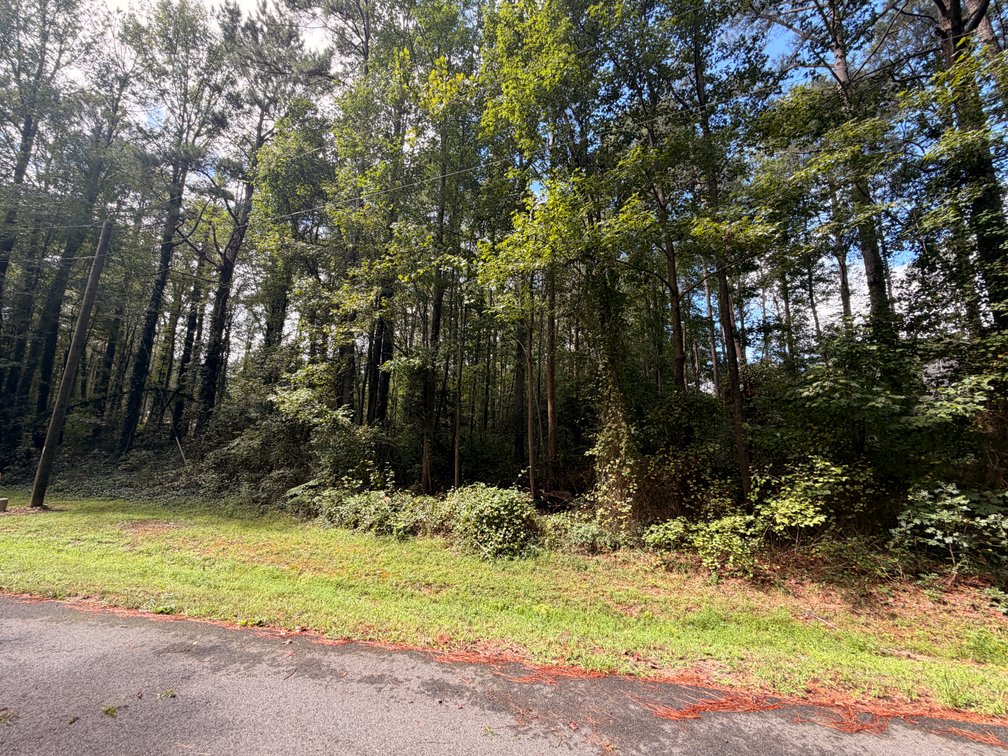 Crown, Lot 165, 118 Waverly Drive; Tax Map 67A3-1-165