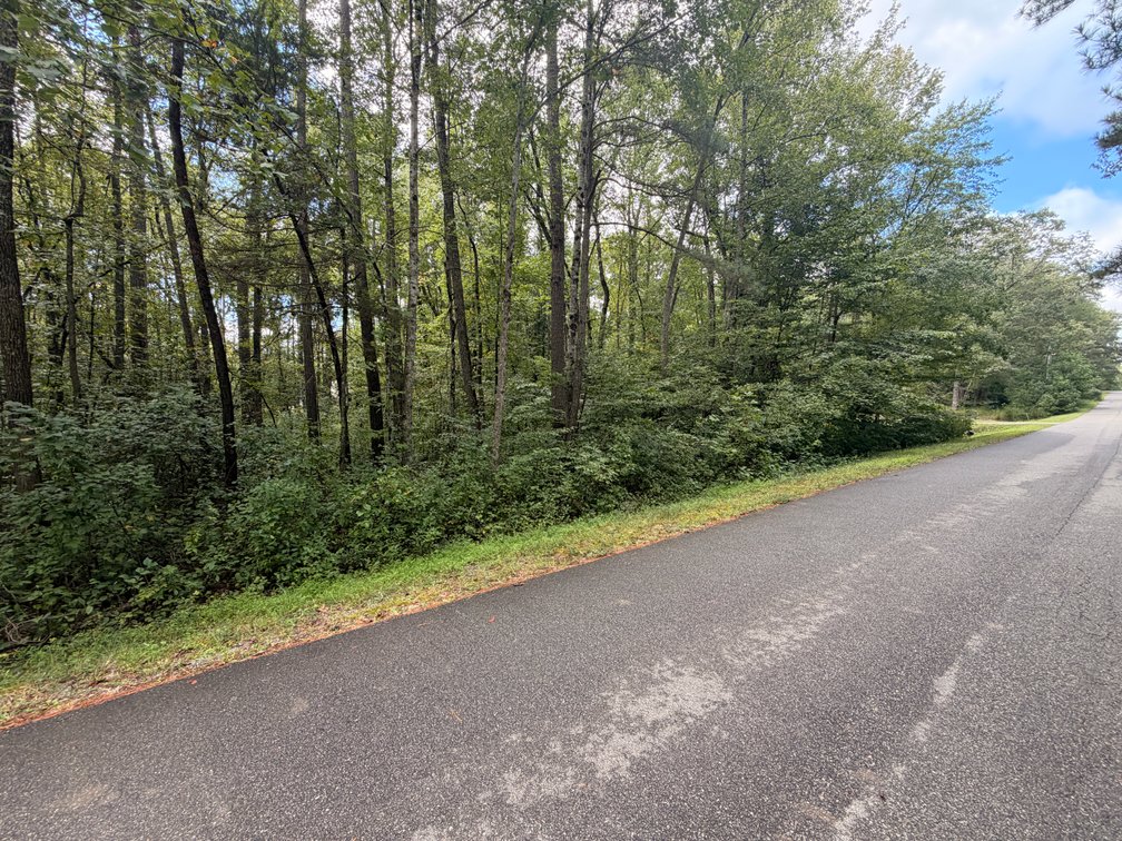 Ladysmith, Lot 563, 175 Yorktown Drive, Tax Map 67A2-1-563