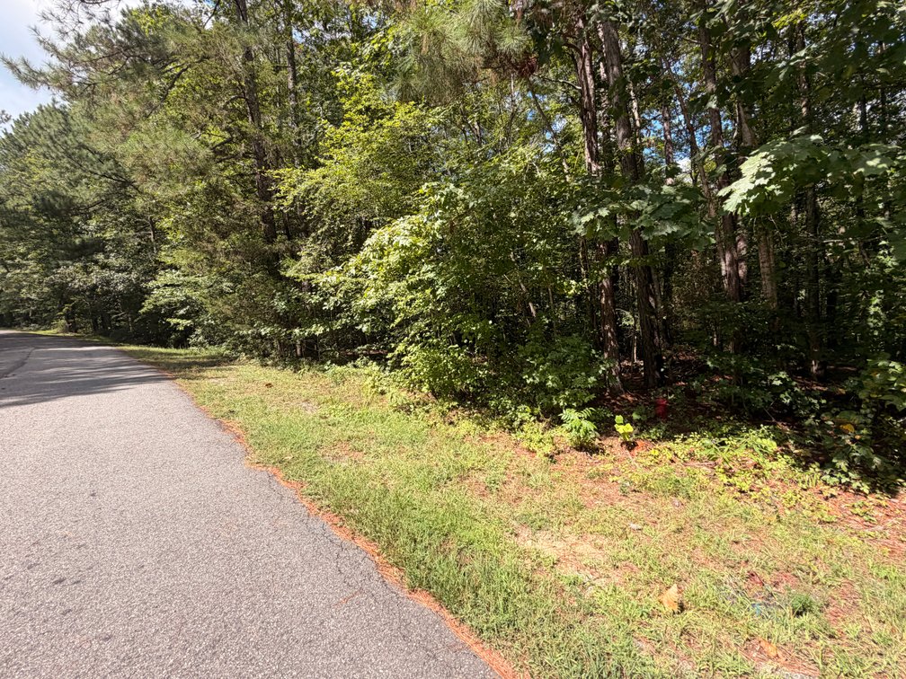 Satterwhite, Lot 995, 183 John Paul Jones Drive; Tax Map 67A1-1-995