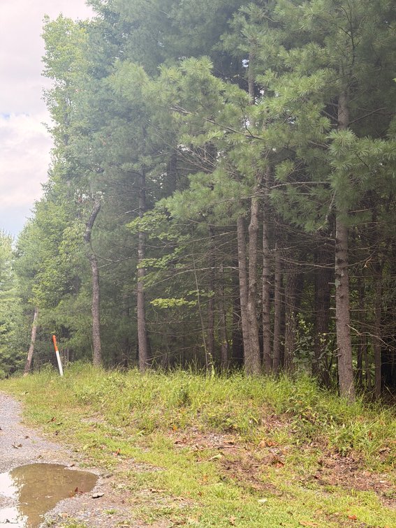 Image for Shenandoah County Tax Delinquent Sale