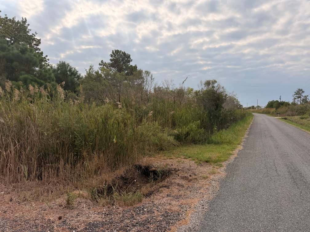 Amadeo San Antonio, 1 acre +/- at 2415 Maundys Creek Road, Tax Map ID 53-309