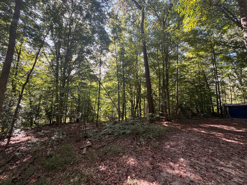 Sherwood Christopher Gardner, Et Al., 7 acres +/- on Shady Creek Lane, Tax Map ID 23-3