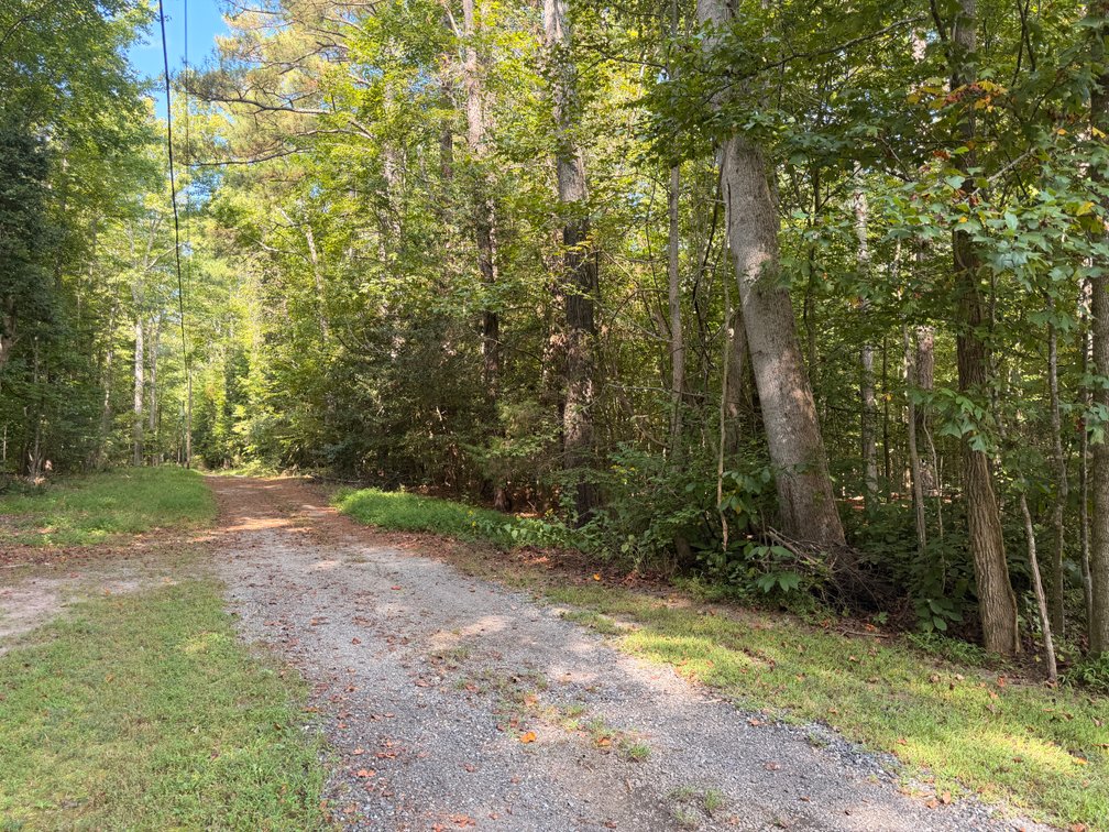 Annie Smith, 10.75 acres +/- on Jusdan Lane, Tax Map ID 22-6