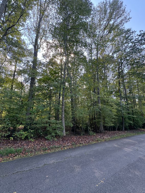 Image for Hanover County, VA Sale of Tax Delinquent Real Estate