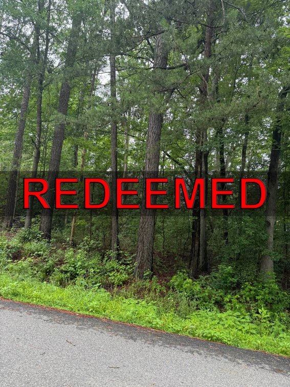 Image for Caroline County, VA Sale of Tax Delinquent Real Estate