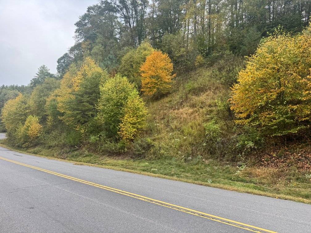 Image for Carroll County, VA Sale of Tax Delinquent Real Estate