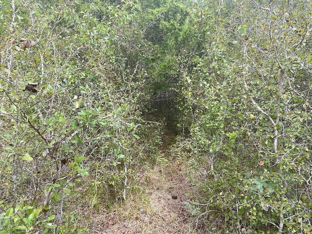 Image for 408 Paffen Rd, Paige,  Texas