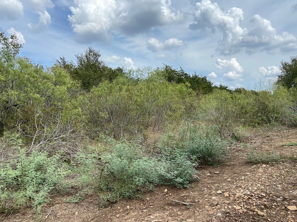 Image for 408 Paffen Rd, Paige,  Texas