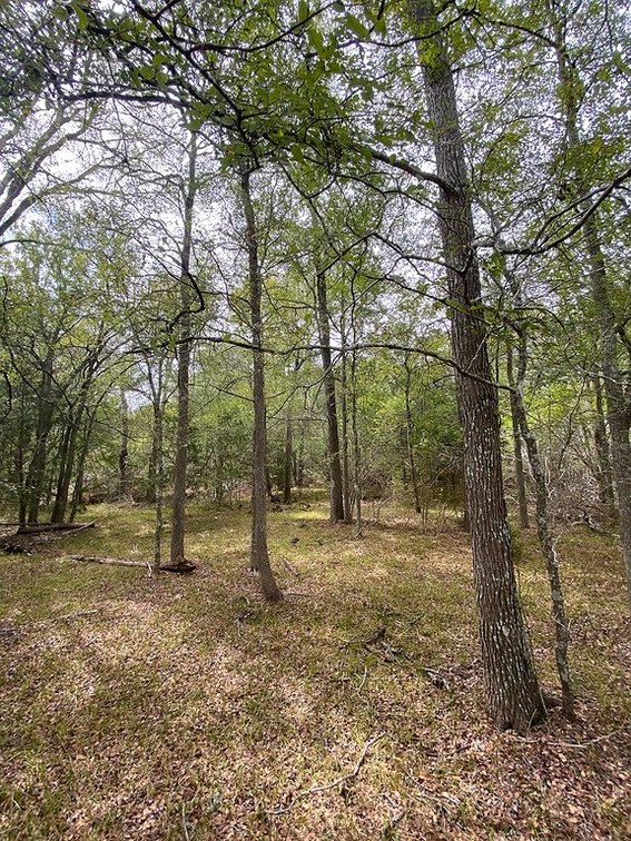 Image for 408 Paffen Rd, Paige,  Texas