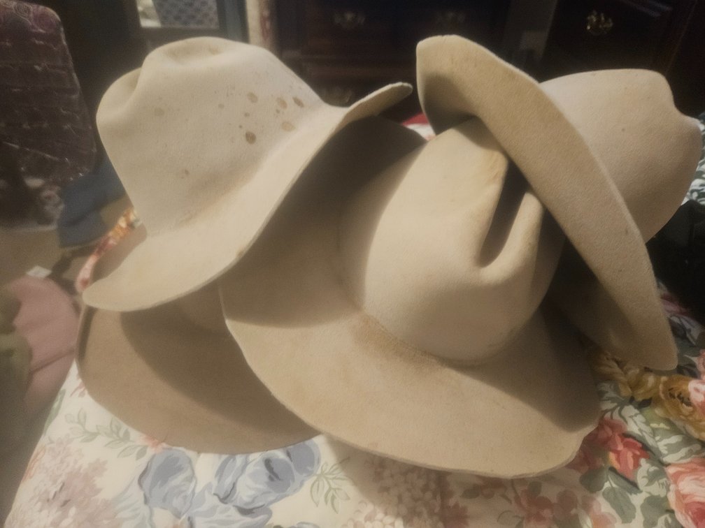 Assorted Western Hats
