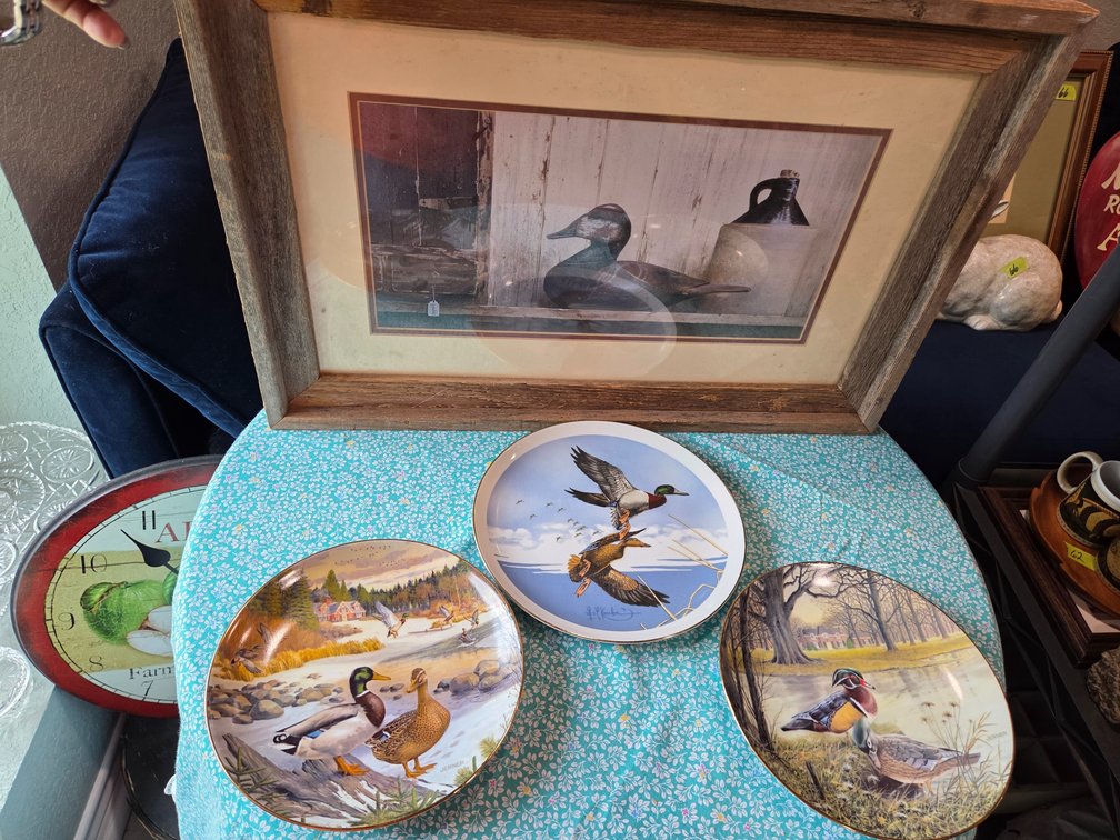 Waterfowl Collector Plates And Framed Duck Print